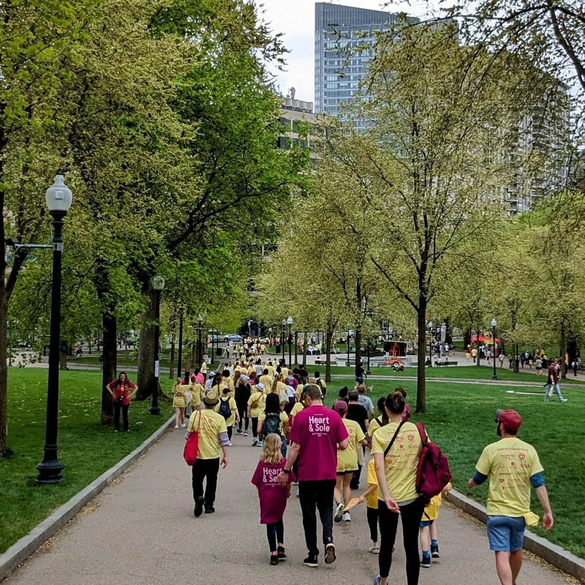 people walking on Boston Common at The Walk for Hunger