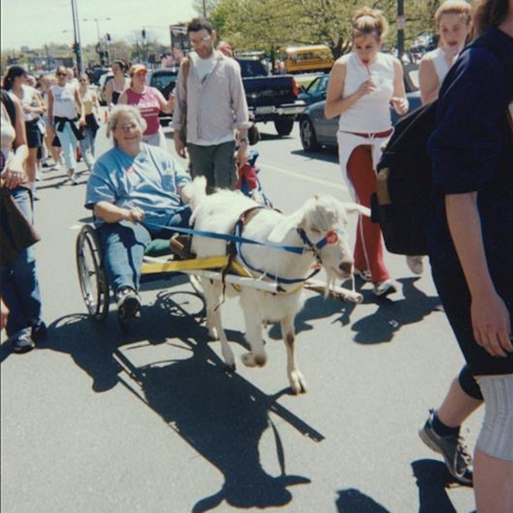 goat walk for hunger
